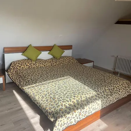 Apartment Maisonette Am Hänferdorf Bühl