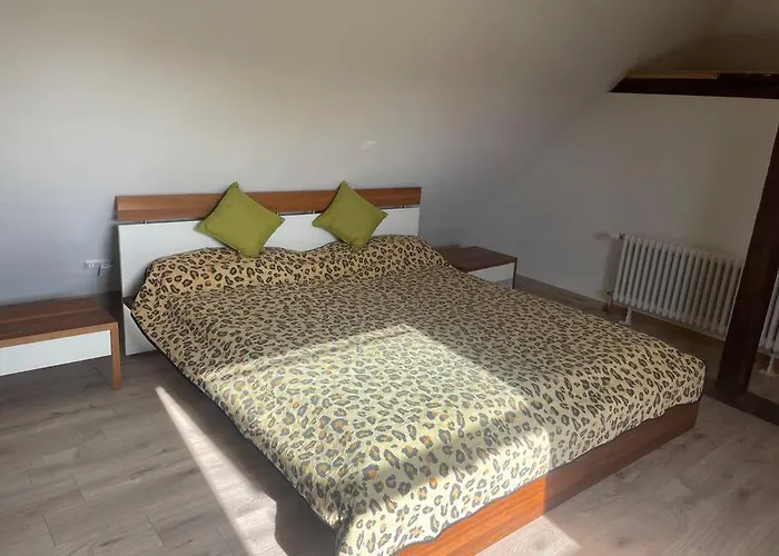 Apartment Maisonette Am Hänferdorf Bühl